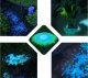 PrzydaSie Kamienie Świecące Fluorescencyjne Kamyki 100Szt 1