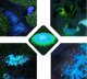 PrzydaSie Kamienie Świecące Fluorescencyjne Kamyki 100Szt 4