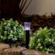 PrzydaSie Zestaw 20 Szt. Lampy Solarne Do Ogrodu Wbijane Led Lampa 10