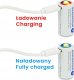 EverActive Akumulator 16340 3V Li-ion 700 mAh micro USB 10