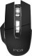 Mysz Inca INCA Maus IWM-555     1600 DPI,Wireless & BT,Akku,USB-C, SW retail 1