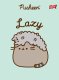 MAJEWSKI Zeszyt A5 32k krata laminowany Pusheen p15 mix cena za 1 szt 5