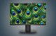 Monitor Koorui Monitor Koorui N07 27'' 3840x2160px 60Hz 12