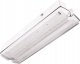 Intelight Oprawa awaryjna LED Intelight Orion MT INLEWA 91895/41628 10xLED 4W 104lm 3h SA/A IP65 1