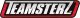 Teamsterz TEAMSTERZ RC Flipsterz Flip over monster 1417632 1