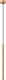 Lampa wisząca Sollux Lighting SOLLUX Lampa wisząca ARCHE 1 złota 1 x G9 SL.1339 1