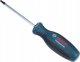 Bosch Screwdriver TX 25x100 mm Bosch 1600A01V0C 10