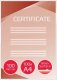 GBC Lamination Pouch GBC A4 100 Micron, clear (100pcs.) 1