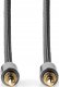 Kabel Nedis Nedis CATB22000GY20 kabel audio 2 m 3.5mm Szary 2