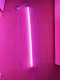 Nedis Nedis WIFILS50CRGBW LED strip Niebieski, Zimne białe, Zielony, Czerwony, Ciepłe białe 15 W F 23