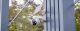 Kamera IP IMOU Kamera IP Imou Cell PT 4G 3MPx bateryjna IPC-K9EP-3T0TE-EU 10