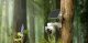 Kamera IP IMOU Kamera IP Imou Cell PT 4G 3MPx bateryjna IPC-K9EP-3T0TE-EU 12