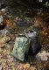 Plecak turystyczny Naturehike Plecak far mountain 25l cnh22bb003-black NATUREHIKE 2