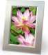 Avery Zweckform Papier fotograficzny do drukarek atramentowych 300g/m2 2