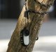 SunnyLife Pokrowiec Futerał Etui Case Osłona Silikon Do Insta360 Go 3s + Dekielek / G3s-bht839-d 10