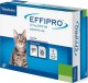 Triton EFFIPRO  Spot-On kot (pipeta 4 x 0,5ml) 2