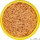 Triton JBL ProNovo Red Insect Stick S 20ml - dla karasi złocistych 2