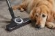 Odkurzacz Miele Vacuum cleaner Miele Complete C3 Cat amp Dog Flex, 12031750 7