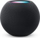 Głośnik Apple HomePod Mini czarny (MTJT3D/A) 1