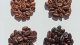 Kawa mielona Pellini Kawa mielona PELLINI Top Decaf bezkofeinowa 250g 4