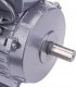 Powermat Silnik elektryczny Jednofazowy 3kW 2800RPM 230V Powermat PM-JSE-3000T 5
