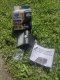 REV REV Solar LED Butterfly with Motion Detector 1,5W white 2