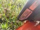 Husqvarna Leaf blower HUSQVARNA 525BX 6