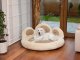 Hobbydog Hobbydog guolis Exclusive Paw Beige, XXL, 105x105 cm 2