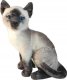 Suki Kot syjamski siedz±cy 30cm 3