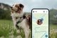 Tractive Tractive GPS DOG XL - Green 7