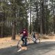WeeRide WeeRide – Kazam Link niebieski, rower doczepiany, hol, przyczepka, doczepka, EAN 016751374758 3