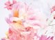 Dior Christian Dior Miss Dior Blooming Bouquet 2023 EDT 150ml 4