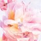 Dior Christian Dior Miss Dior Blooming Bouquet 2023 EDT 150ml 7