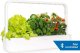 Click And Grow Click & Grow Smart Garden 9 Pro, white 7
