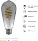 Avanca International BV Hombli smarte Filament Glühbirne, ST64, E27, CCT, Smokey 2