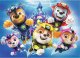 Trefl Puzzle 20 miniMaxi Wesołe pieski 2 TREFL 9