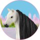 Teka Beauty Horses - Włosy dla koni czarne 1