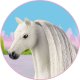 Teka Beauty Horses - Włosy dla koni szare 3