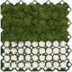 Bradas KRATKA OGRODOWA ZIELONA 40mm /60cm x 60cm MULTI GRID 3