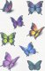 Teka Tatuaże Motylki 2