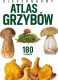 Peggy Diggledey Kieszonkowy atlas grzybów 1