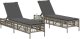 vidaXL vidaXL Leżaki ze stolikiem, 2 szt., szare, polirattan 2