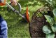 Husqvarna Lawnmower HUSQVARNA 110iL with accessories 3