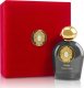 Tiziana Terenzi TIZIANA TERENZI Halley Extrait Parfum spray 100ml 1