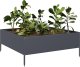 vidaXL vidaXL Podwyższona donica, antracytowa, 100x100x25 cm, stal 3