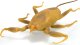 Hexbug HEX BOTS interactive toy Nano Real Bugs 5 pack 2