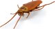 Hexbug HEX BOTS interactive toy Nano Real Bugs 5 pack 3