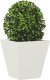 vidaXL vidaXL Donice ogrodowe, 2 szt., białe, 30x30x30 cm, stalowe 3