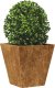 vidaXL vidaXL Donice ogrodowe, 2 szt., 30x30x30 cm, stal kortenowska 3