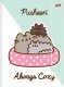 St.Majewski Pusheen wyprawka szkolna xxl 12w1 4